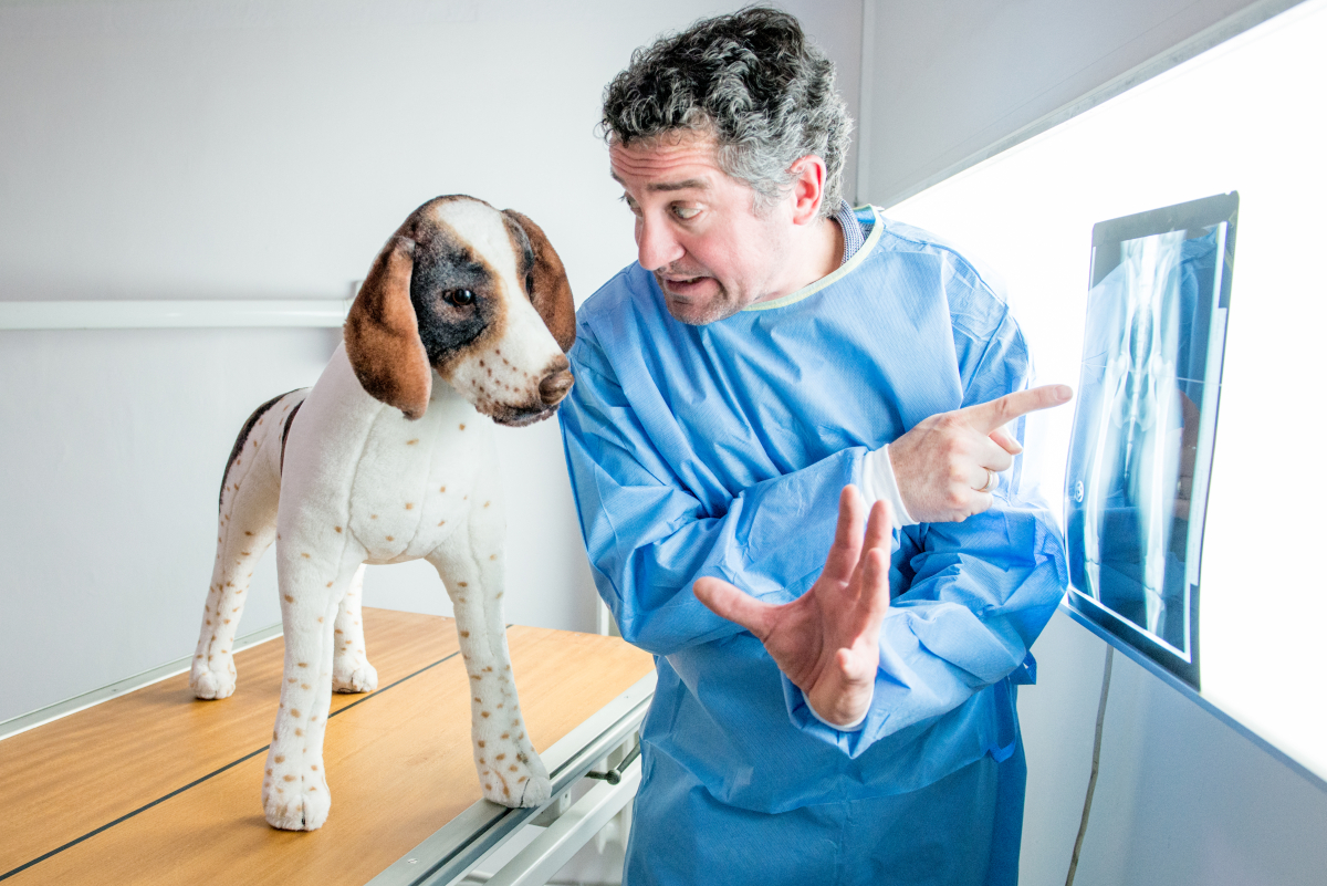 Mann in Medizinerkleidung mit Stoffhund und Röntgenbild