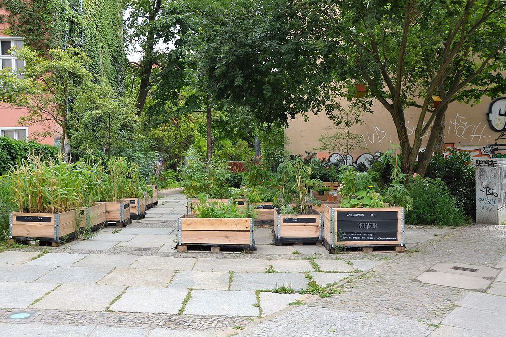 Urban Gardening Inselgarten